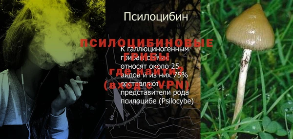 стафф Арсеньев
