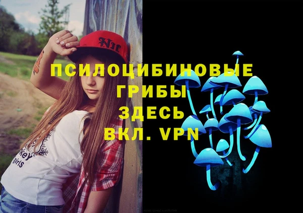 МДПВ Алексин