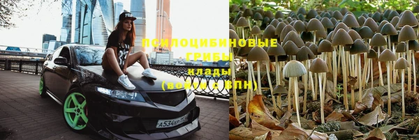 прущая мука Аркадак
